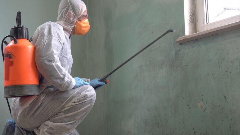 Mold Prevention Techniques
